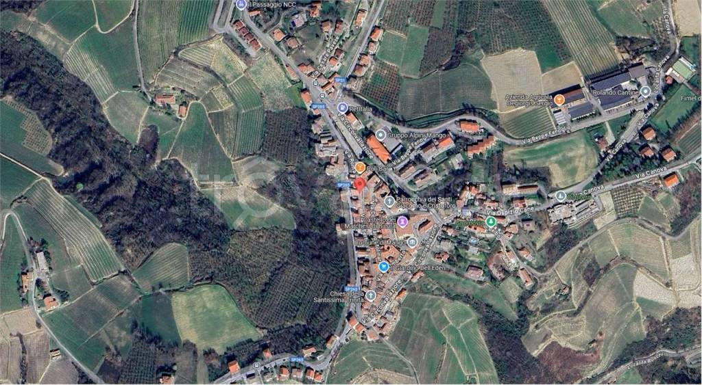 immagine annuncio 5 di 15