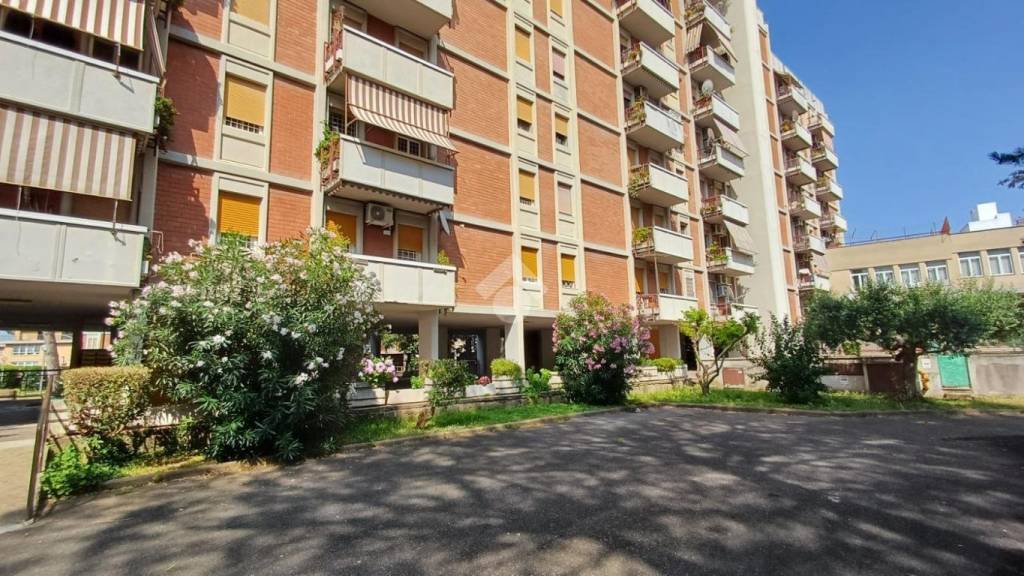 immagine annuncio 10 di 12
