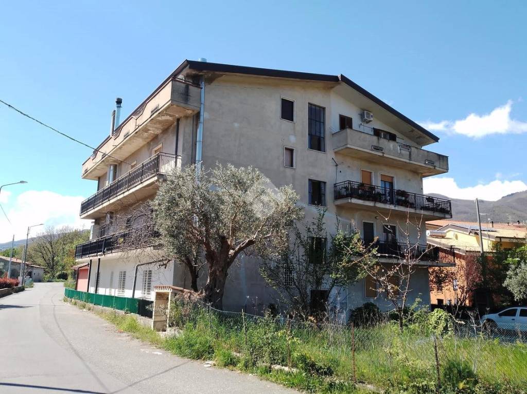 immagine annuncio 2 di 13