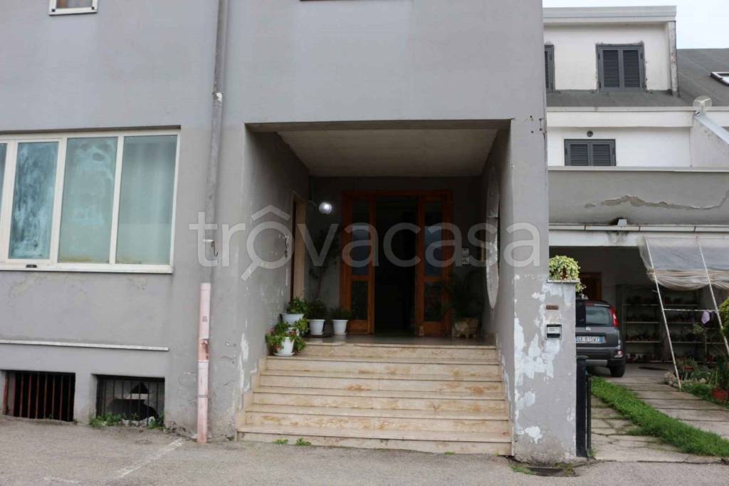 immagine annuncio 10 di 12