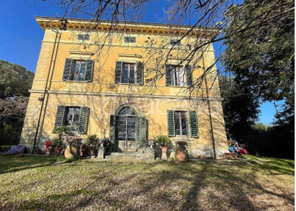 immagine annuncio 10 di 12