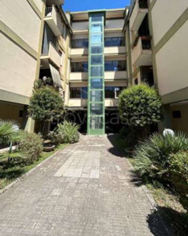immagine annuncio 5 di 11