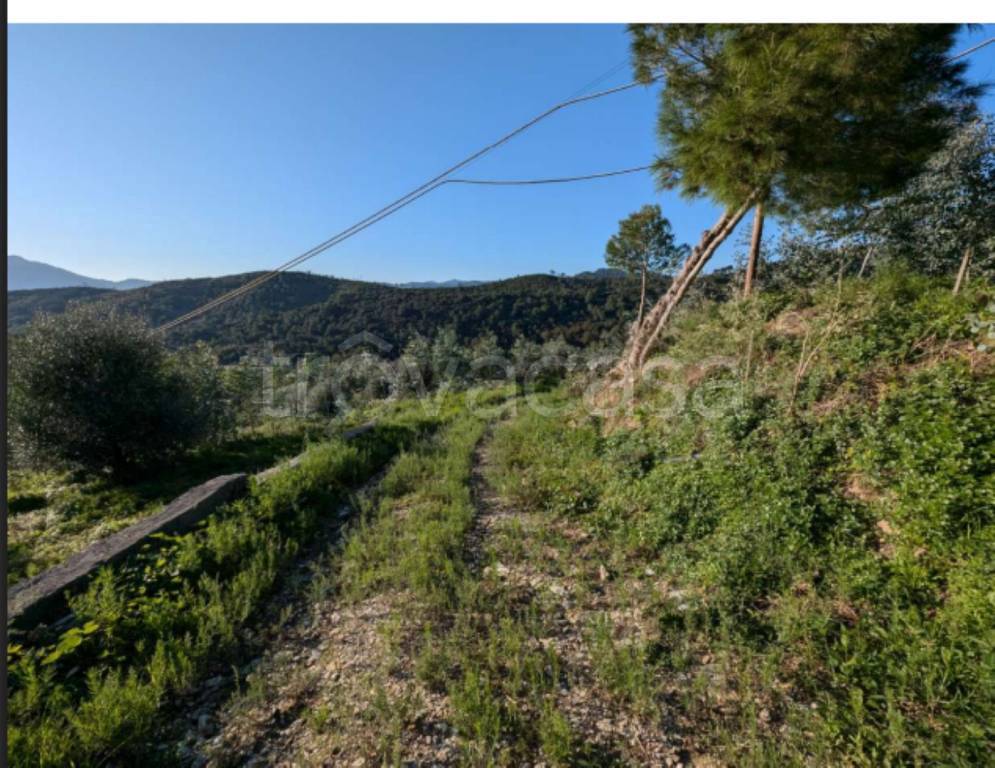 immagine annuncio 4 di 12