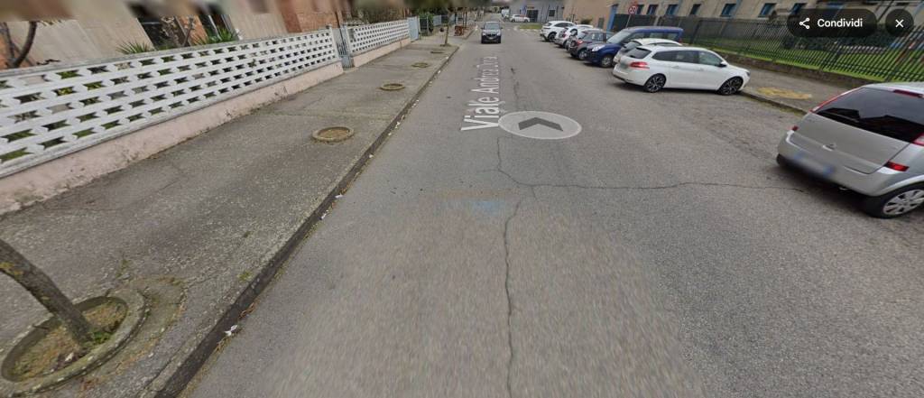 immagine annuncio 8 di 12