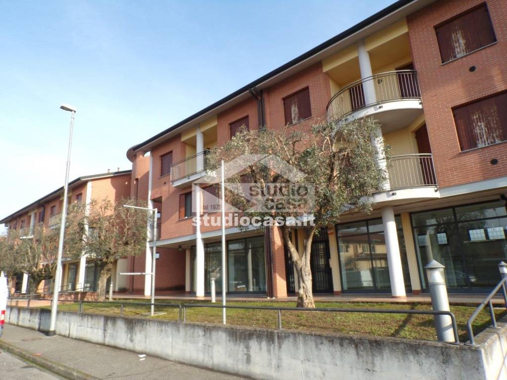 immagine annuncio 1 di 4