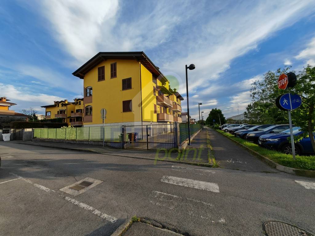 immagine annuncio 11 di 15