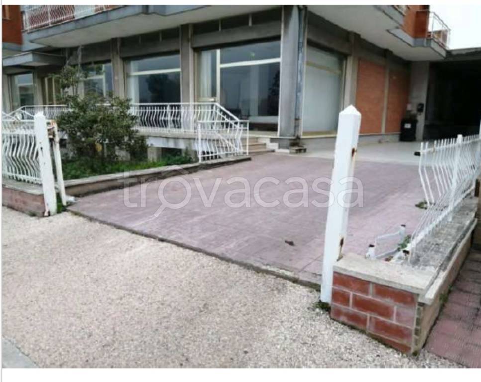 immagine annuncio 10 di 12