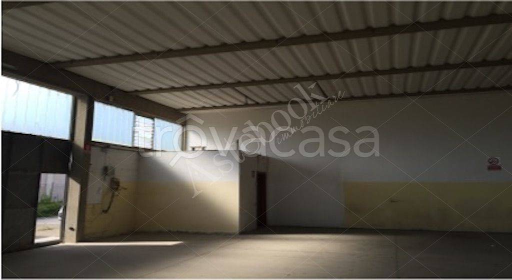 immagine annuncio 11 di 13