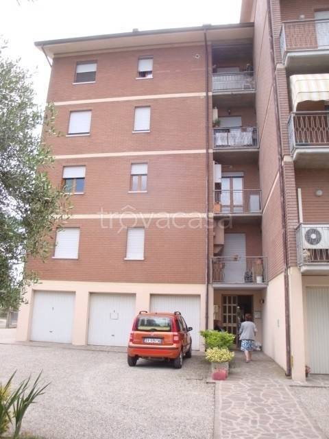 immagine annuncio 12 di 14