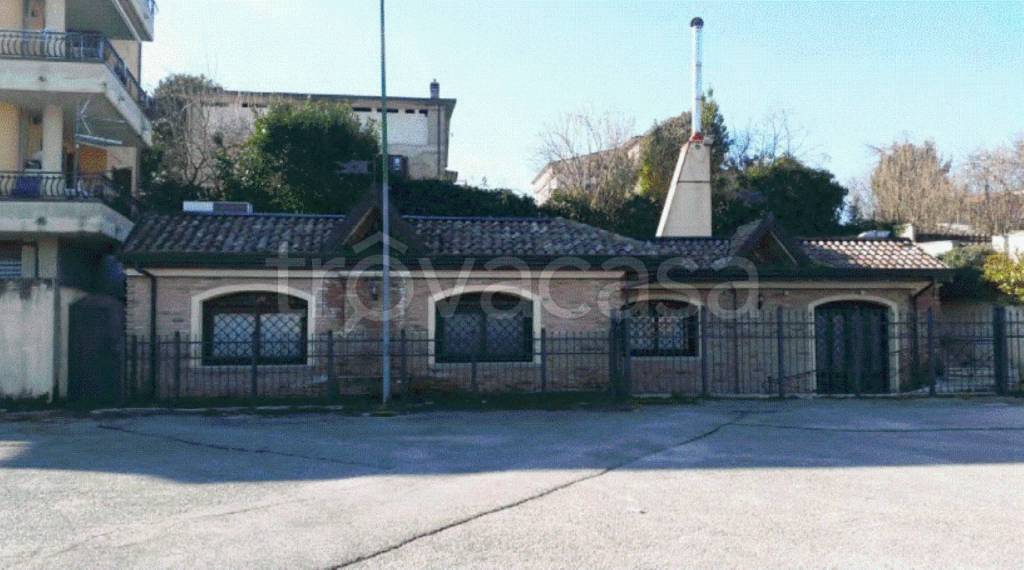immagine annuncio 11 di 12