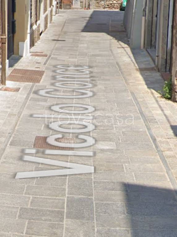 immagine annuncio 11 di 13