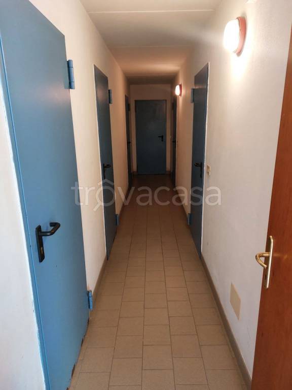 immagine annuncio 12 di 14