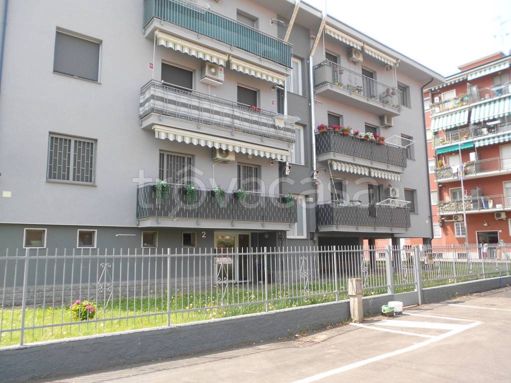 immagine annuncio 2 di 15