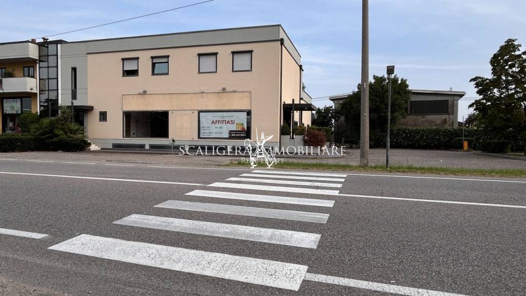 immagine annuncio 2 di 8