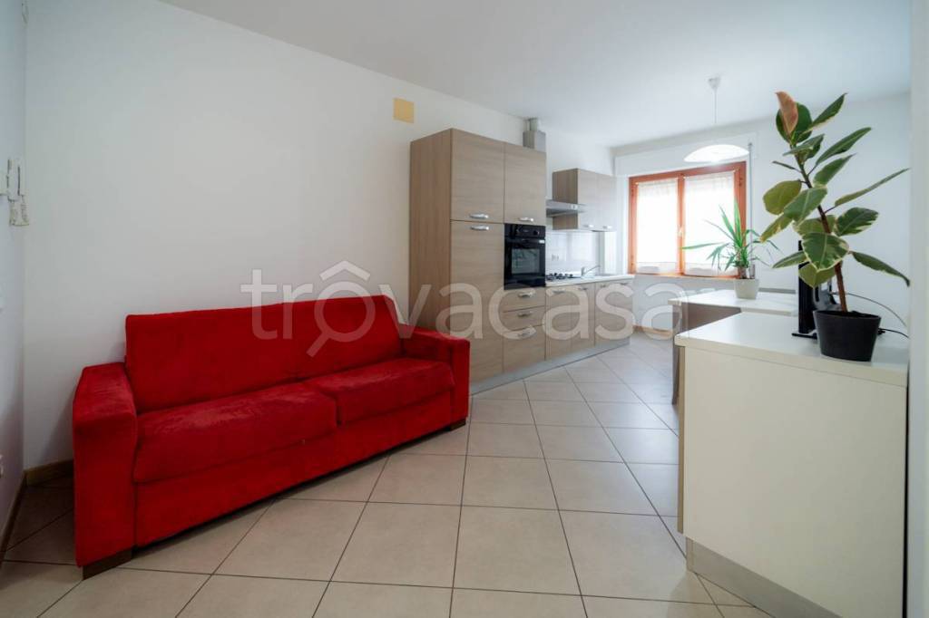 immagine annuncio 1 di 13