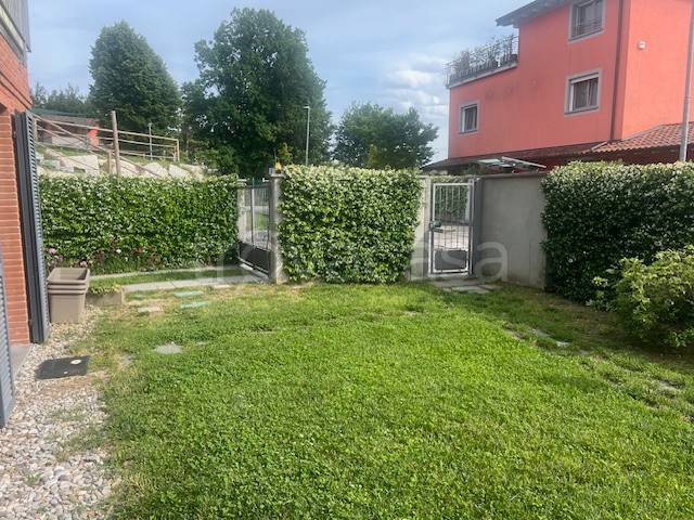 immagine annuncio 3 di 12