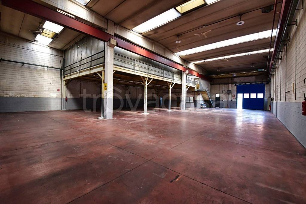 immagine annuncio 5 di 15