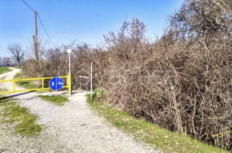immagine annuncio 3 di 8