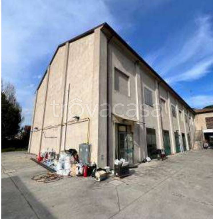 immagine annuncio 8 di 12