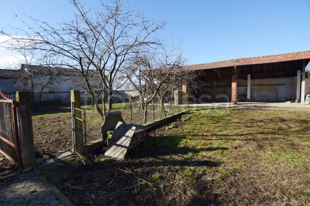 immagine annuncio 3 di 14