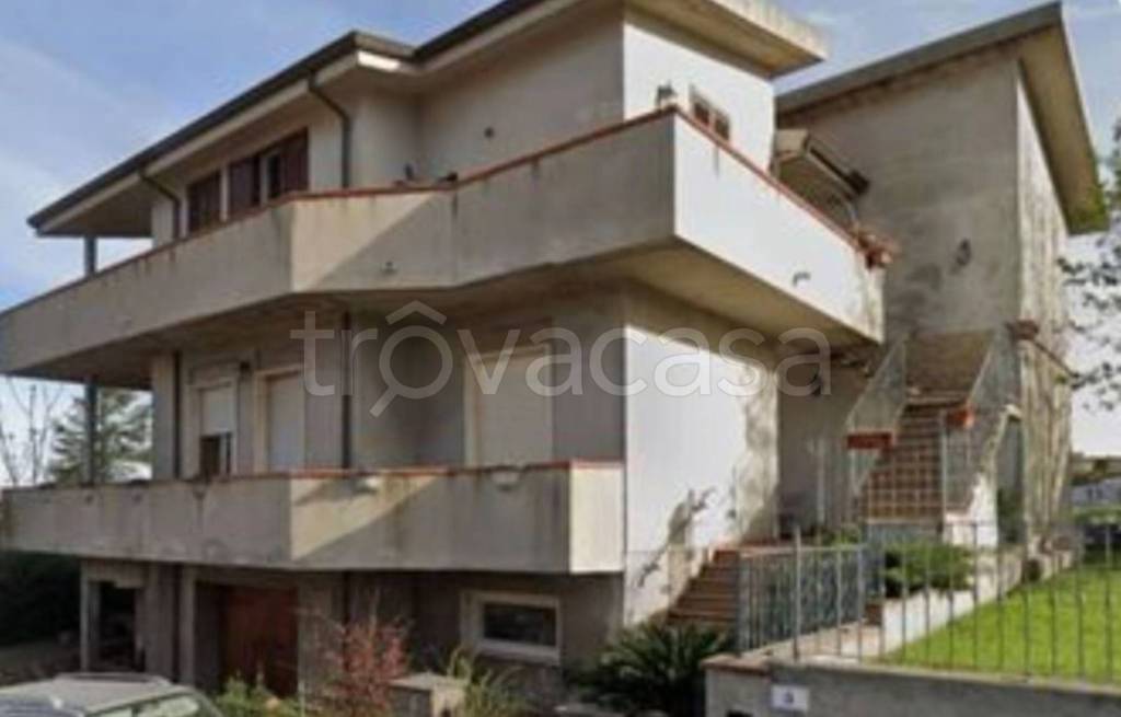 immagine annuncio 9 di 14