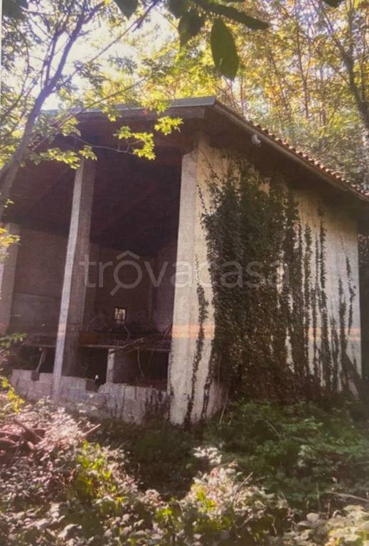 immagine annuncio 4 di 7