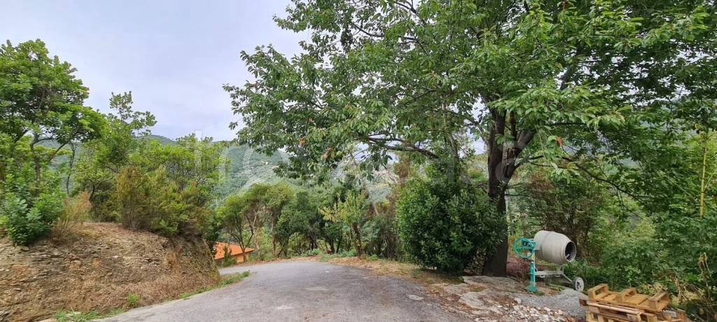 immagine annuncio 2 di 6