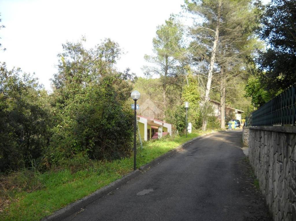 immagine annuncio 2 di 7