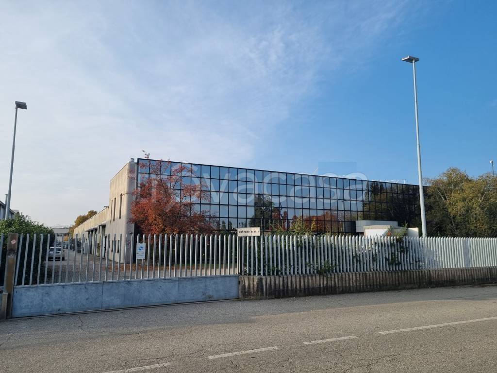 immagine annuncio 1 di 14