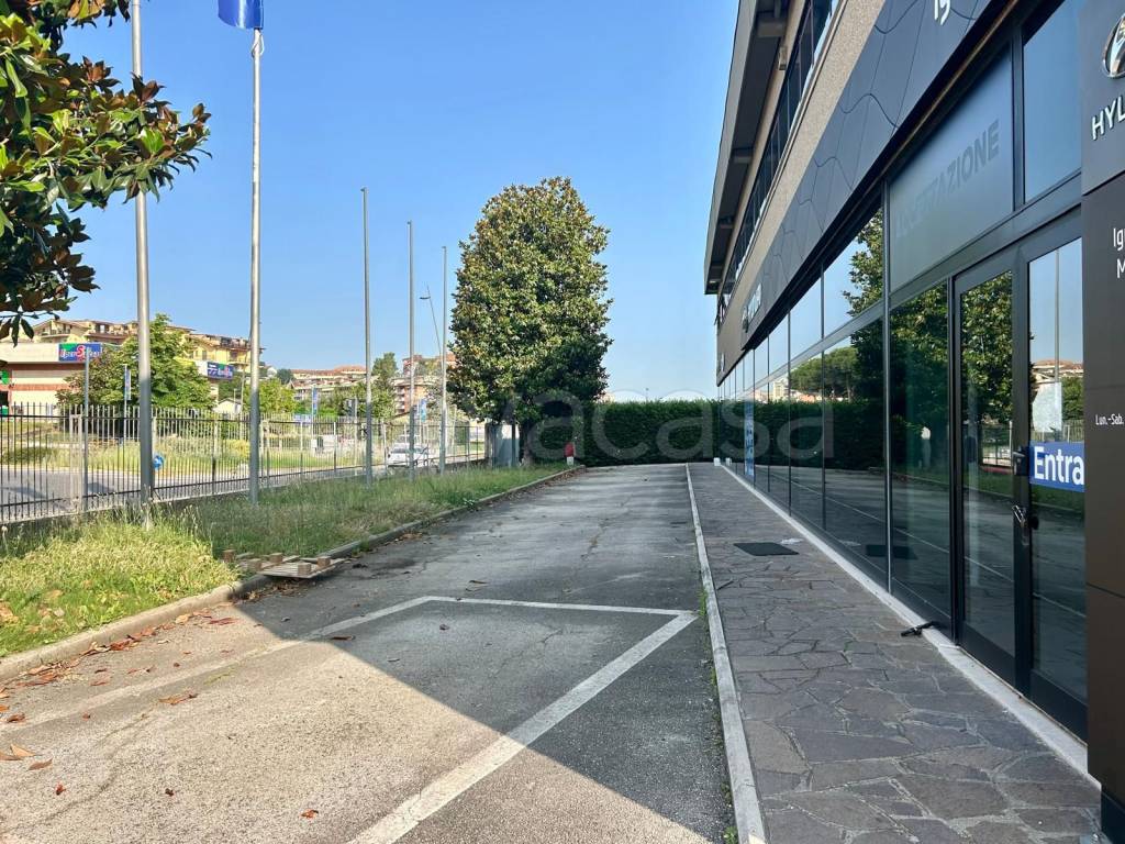 immagine annuncio 9 di 13