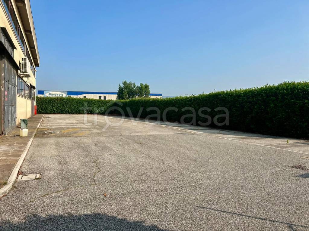 immagine annuncio 12 di 13