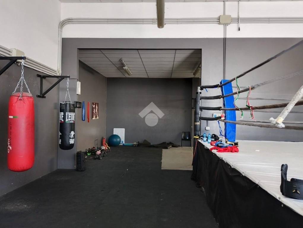 immagine annuncio 2 di 15