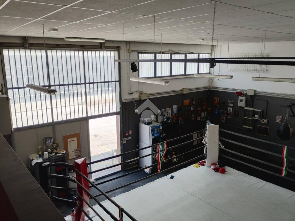 immagine annuncio 3 di 15