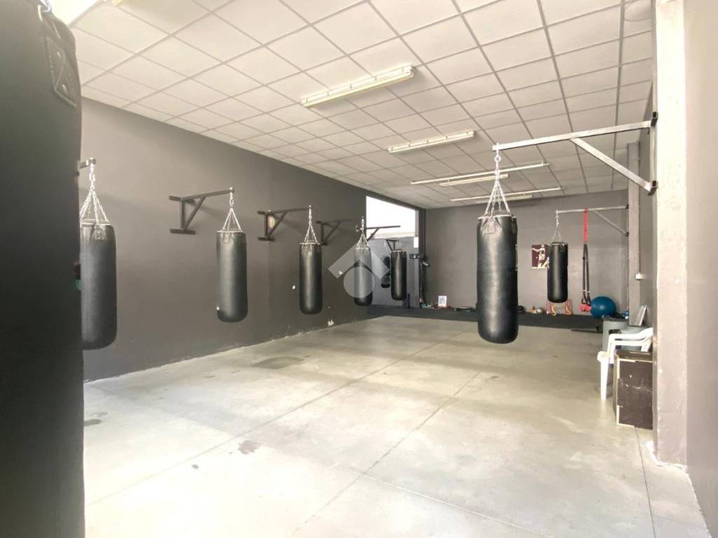 immagine annuncio 12 di 15