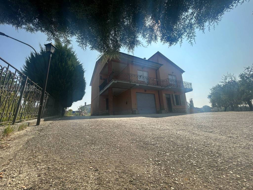 immagine annuncio 13 di 14