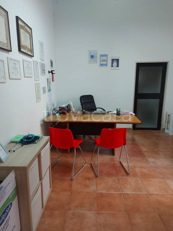 immagine annuncio 3 di 6