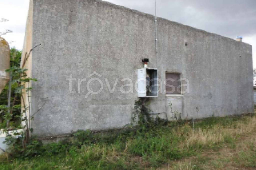 immagine annuncio 7 di 11