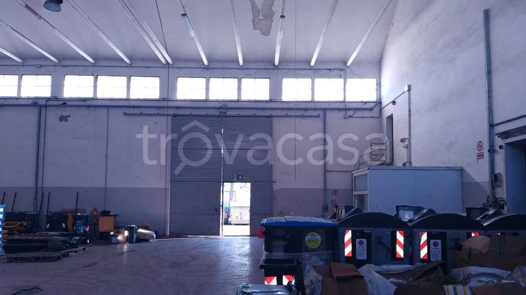 immagine annuncio 5 di 13