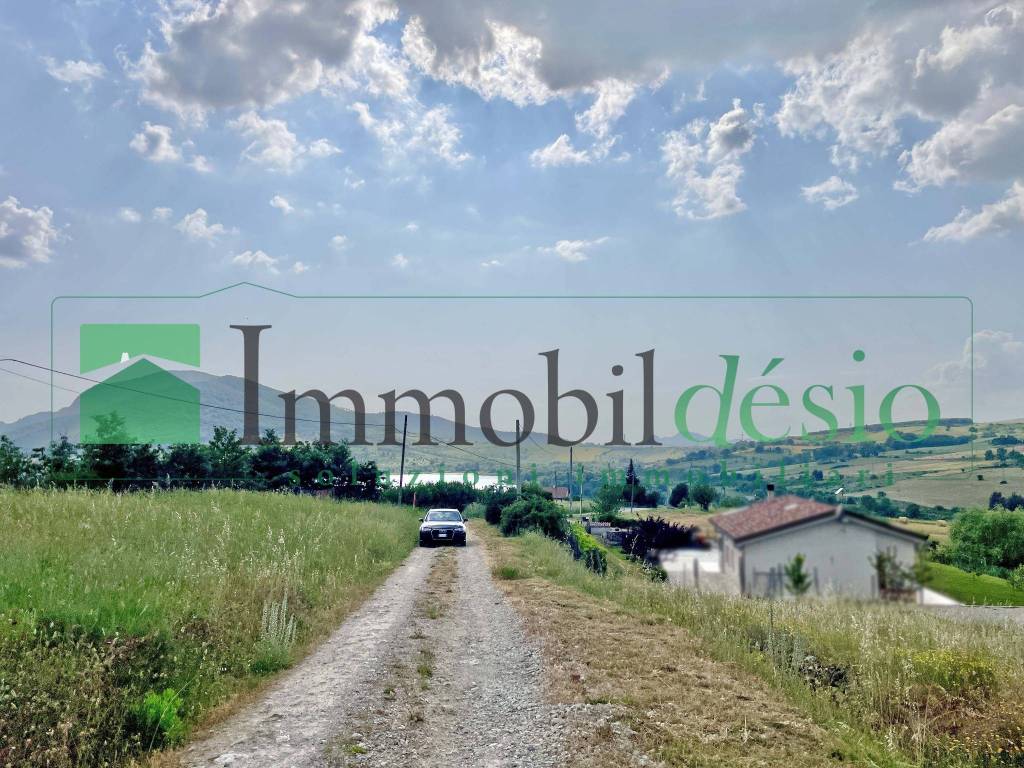immagine annuncio 10 di 11