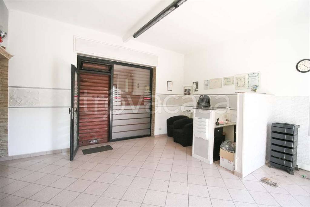immagine annuncio 2 di 12