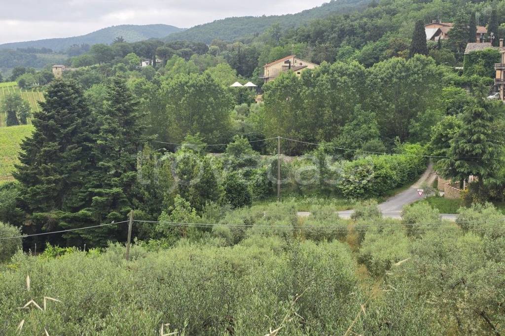 immagine annuncio 5 di 8