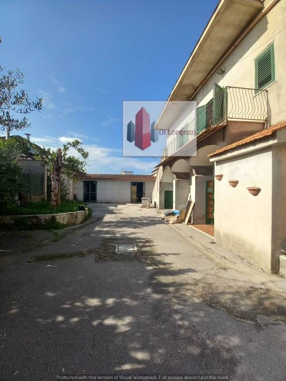 immagine annuncio 4 di 7