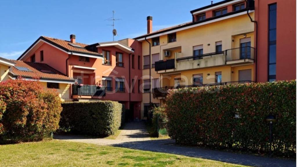 immagine annuncio 5 di 15