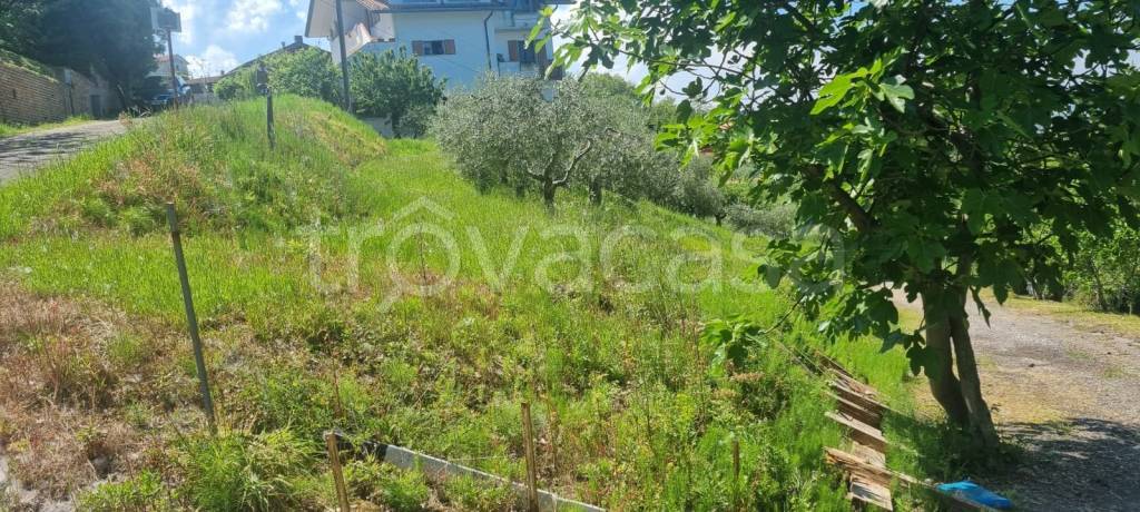 immagine annuncio 2 di 3