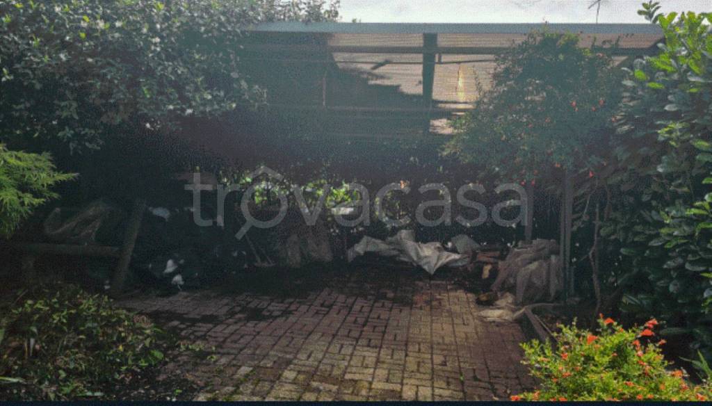immagine annuncio 5 di 7