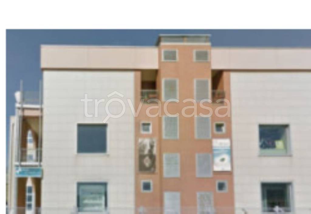 immagine annuncio 4 di 12