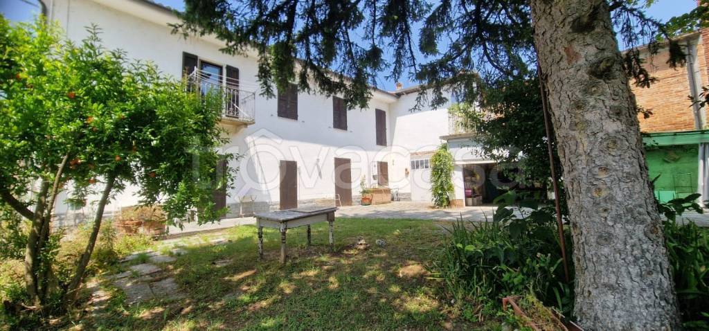 immagine annuncio 6 di 7