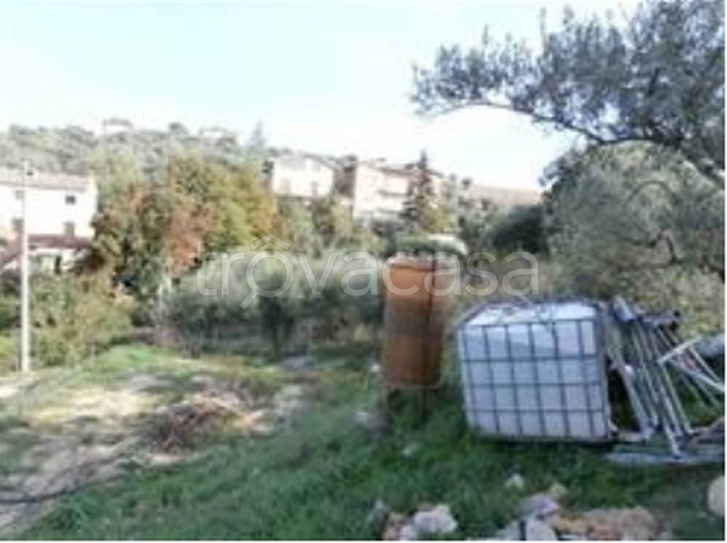immagine annuncio 11 di 14