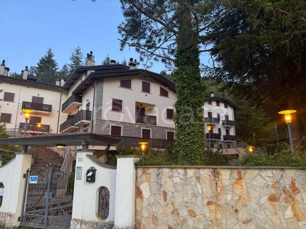 immagine annuncio 3 di 8