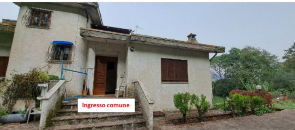 immagine annuncio 9 di 12